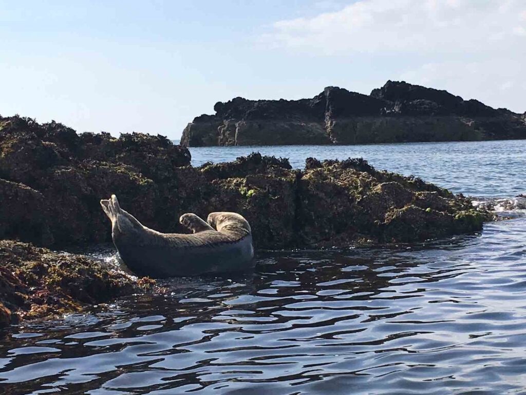 Tirwedd Cenedlaethol Ynys Môn