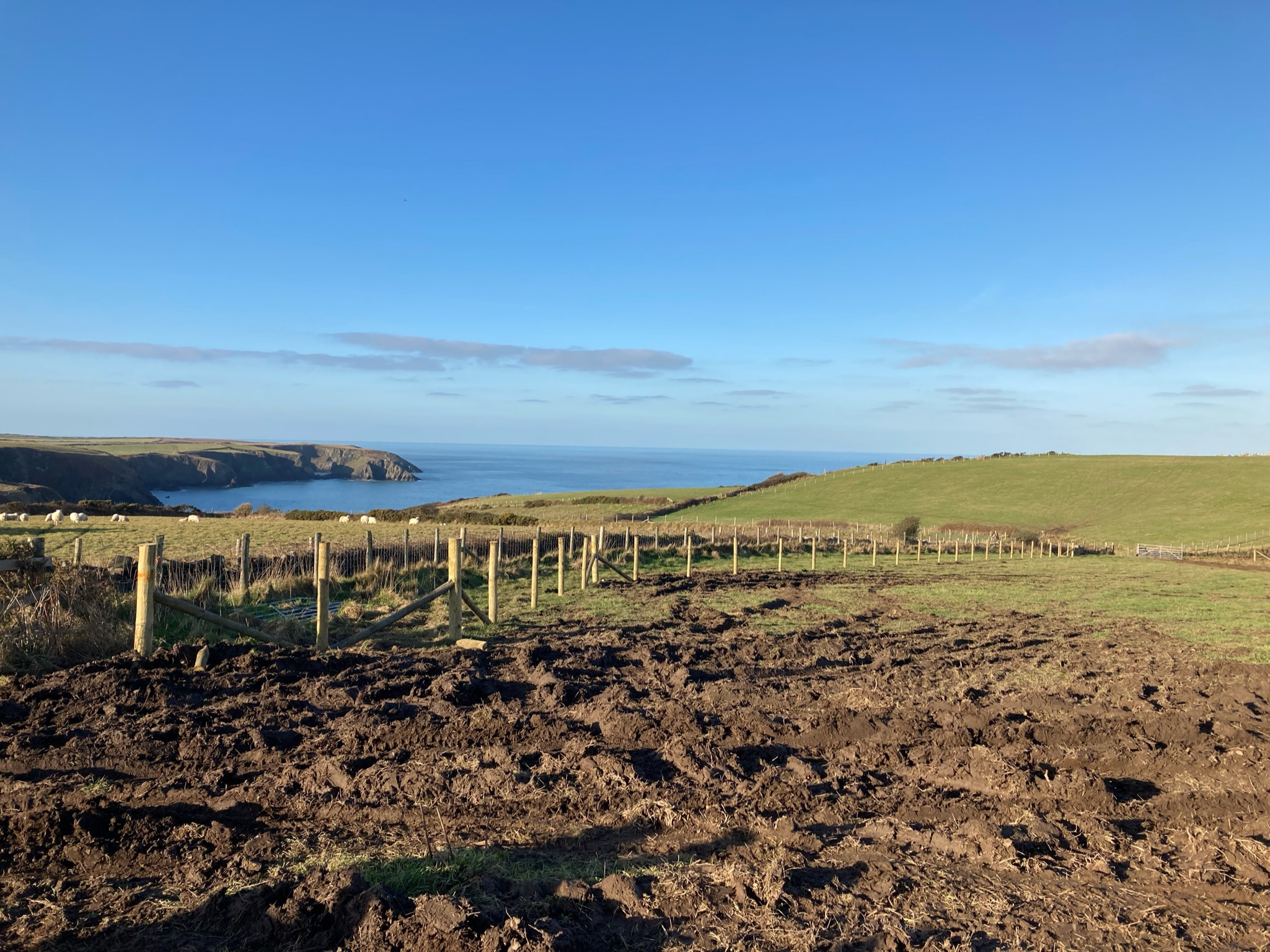 Rheoli tir ar gyfer byd natur a newid hinsawdd