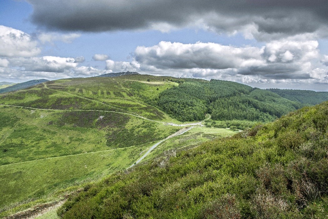 Prosiect Dynodi Parc Cenedlaethol Gogledd Ddwyrain Cymru