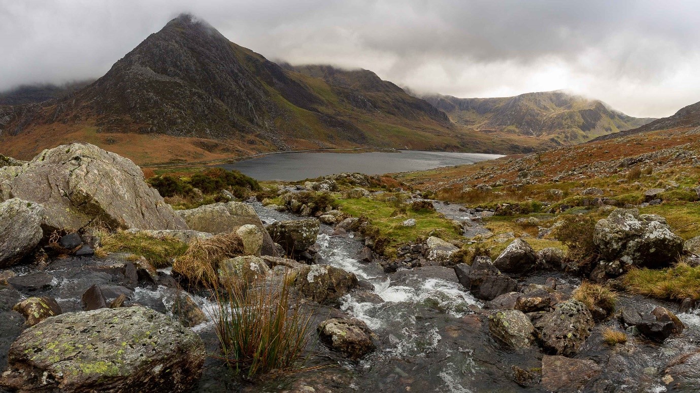 Archwiliad Dwfn Bioamrywiaeth Cymru – Datgloi potensial Tirweddau Dynodedig
