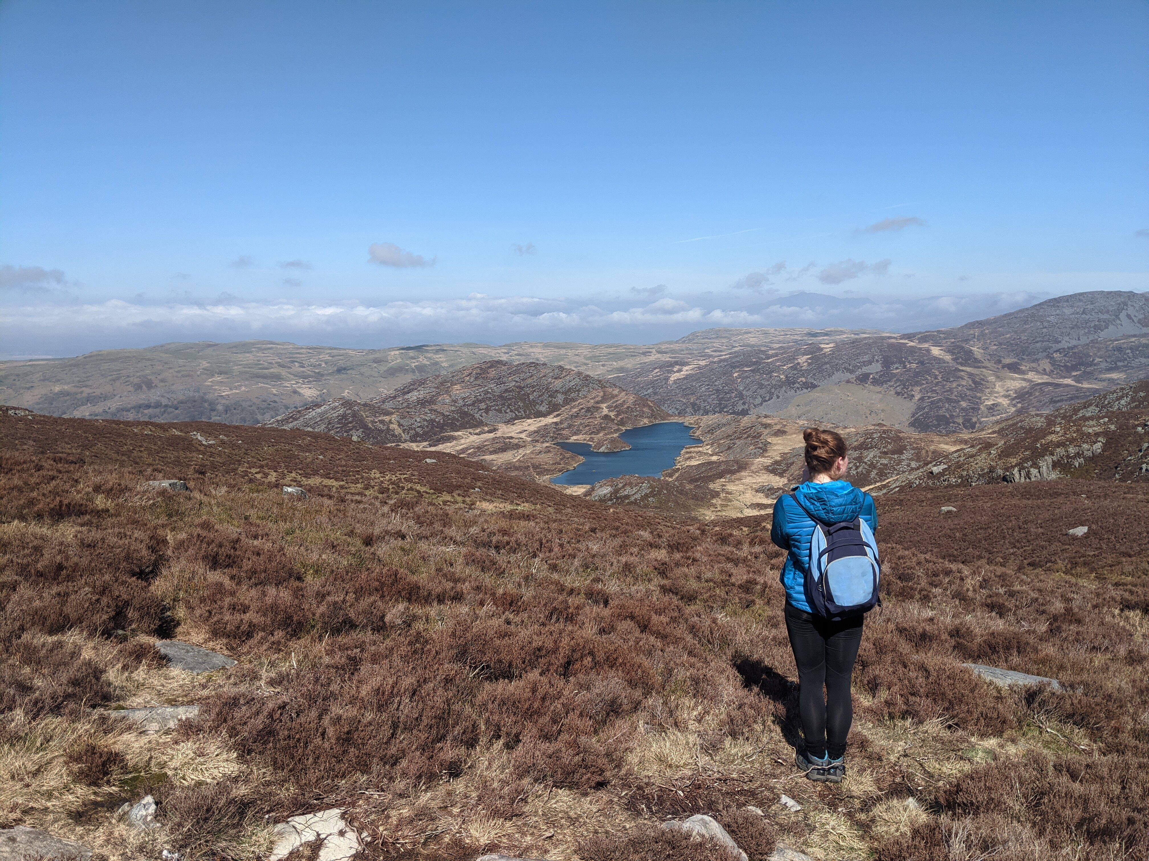 Ble i Wylio Bywyd Gwyllt yng Nghymru dros y Gwanwyn