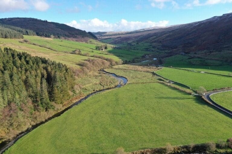 Ffermio Bro: Camau gweithredu dan arweiniad lleol yn sicrhau adferiad natur